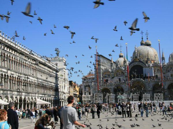 威尼斯鸽子广场（威尼斯与鸽子的谜团）