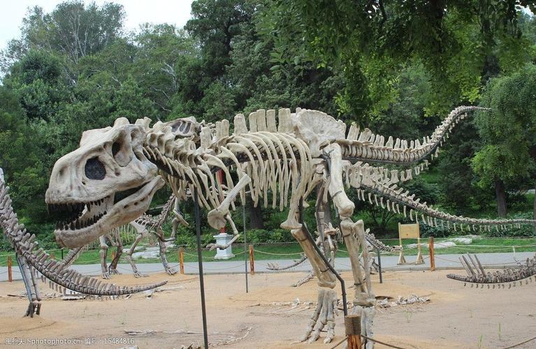 威尼斯恐龙化石（威尼斯恐龙化石值钱吗）